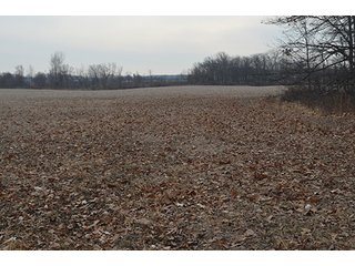 Property photo 14 - LAND AUCTION, 77 Acres offered in 3 Tracts